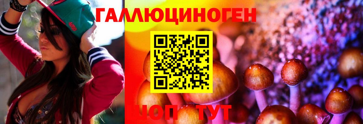 Псилоцибиновые грибы MAGIC MUSHROOMS Брянск